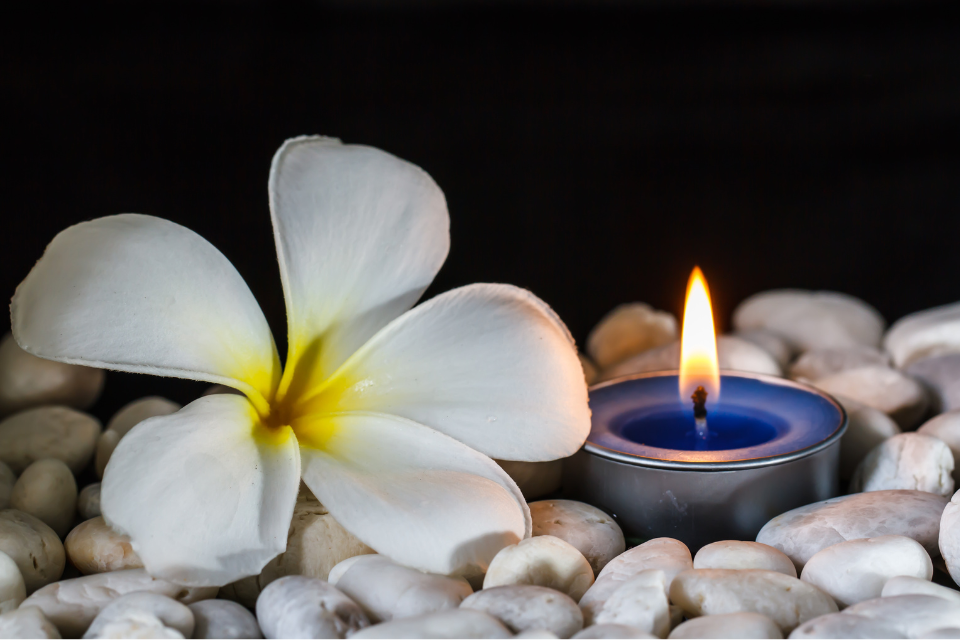 https://goodxtop.com/scented-candle-trends-for-2024-whats-new-at-candle-light.html