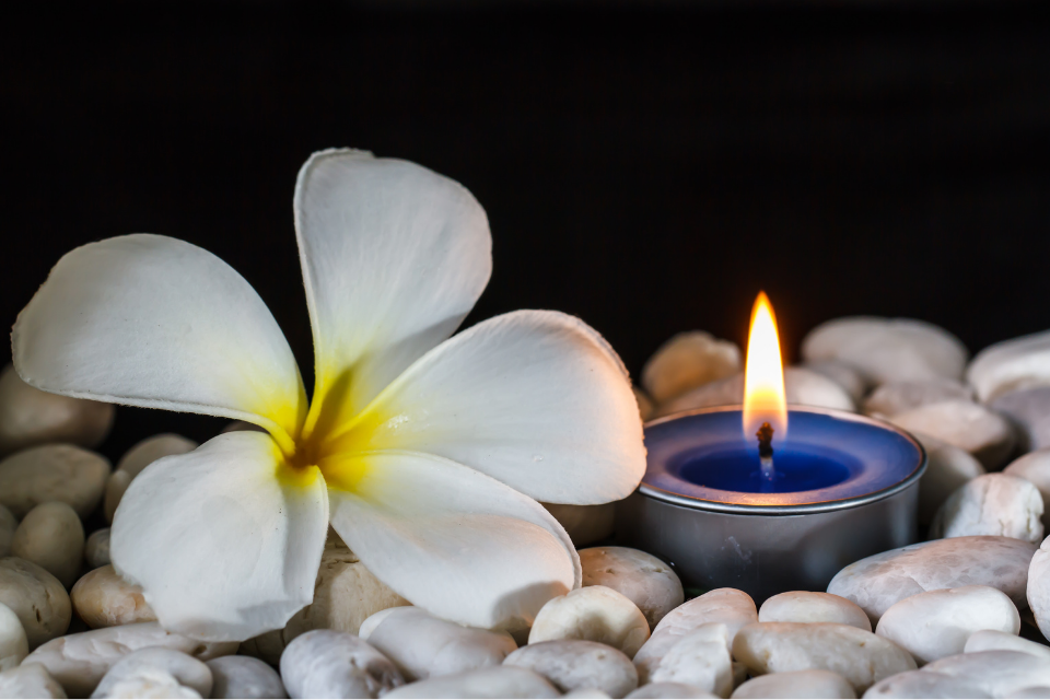 https://goodxtop.com/best-floral-fragrance-candles-in-california-a-sensory-journey.html